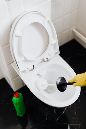 how-to-clean-clogged-toilet-pipes