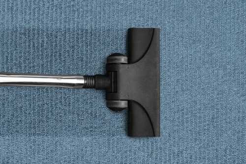 how-to-clean-mold-from-carpet