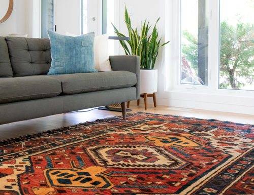 how-to-get-chocolate-milk-out-of-carpet