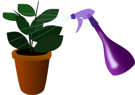 is-dehumidifier-water-good-for-plants