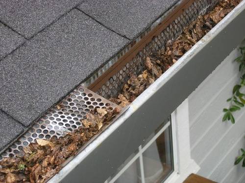 best-time-to-clean-gutters