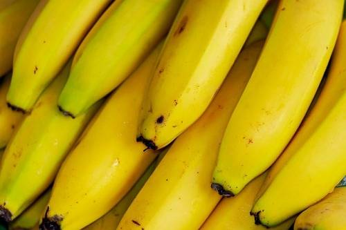 how-to-keep-flies-away-from-bananas
