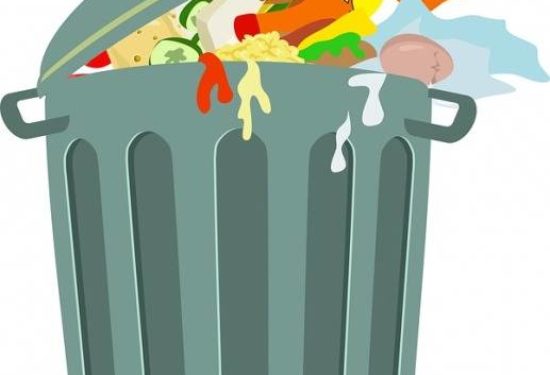 How To Get Rid Of Rotten Meat Smell In Garbage Can? – Household Tips