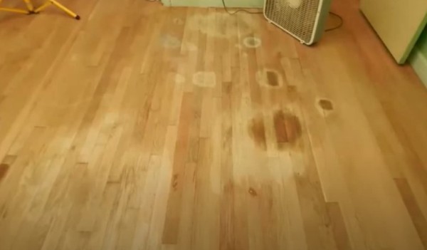 how-to-clean-dog-urine-off-hardwood-floors
