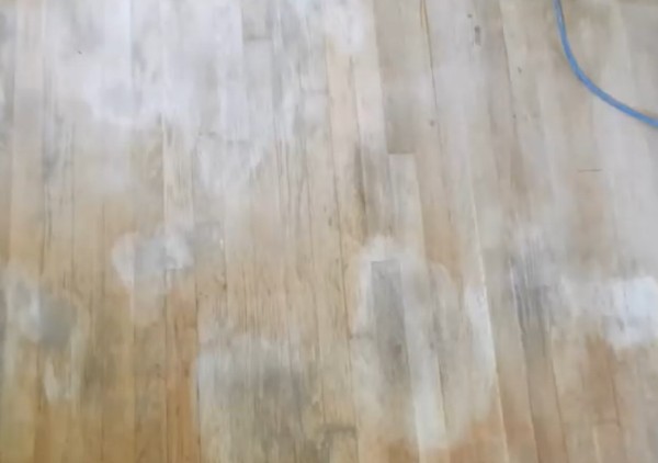 Dog Urine Soaked Into Hardwood Floor, How To Remove Dog Urine Hardwood Floors