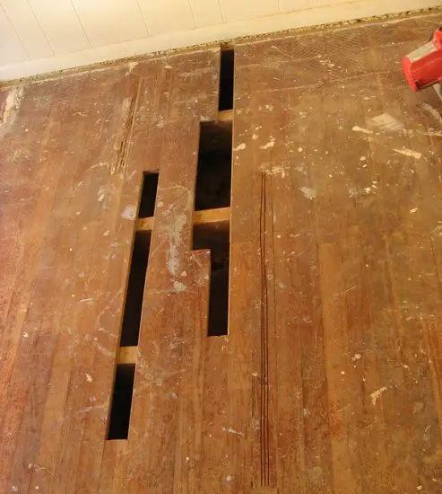 termite-damage-on-hardwood-floors
