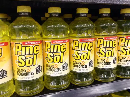 can-you-use-pine-sol-on-carpet