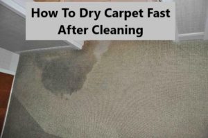 How To Dry Carpet Fast After Cleaning - [Detailed Instruction]
