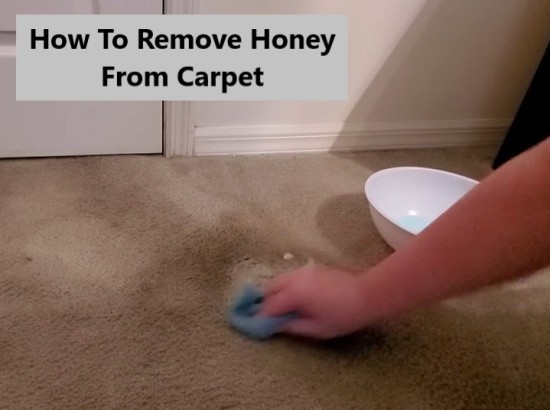 how-to-remove-honey-from-carpet