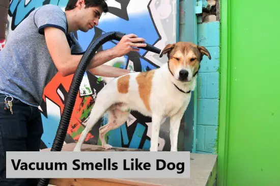 vacuum-smells-like-dog