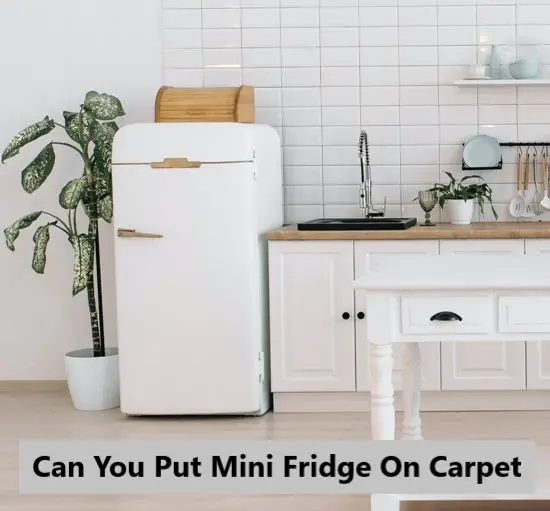 can-you-put-mini-fridge-on-carpet