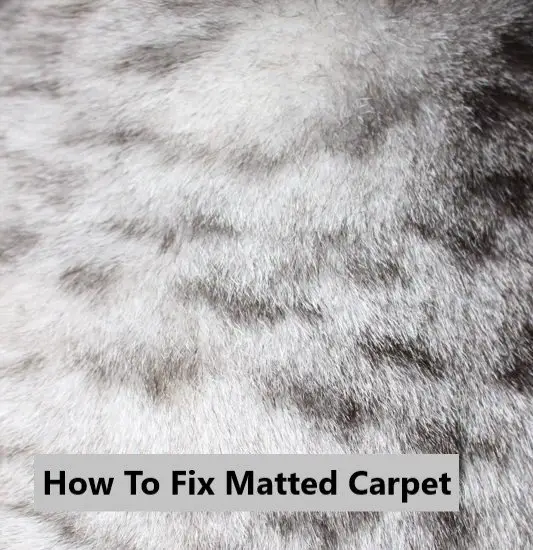 how-to-fix-matted-carpet