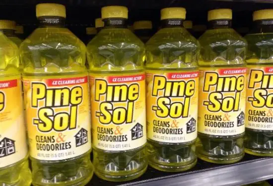 Can You Mix Bleach and Pine Sol And Use This Combination Safely?