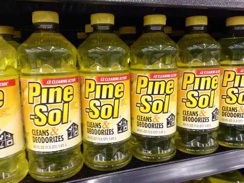 Can You Mix Bleach and Pine Sol And Use This Combination Safely?