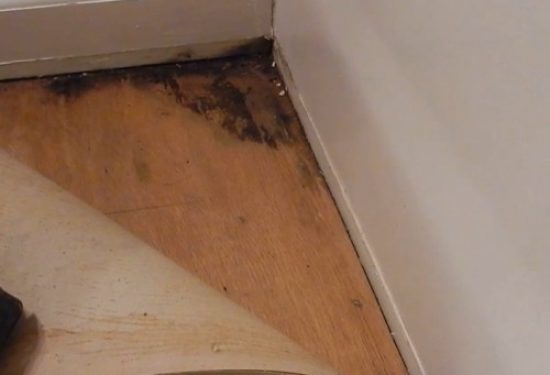 How To Deal With Mold Under Laminate Flooring