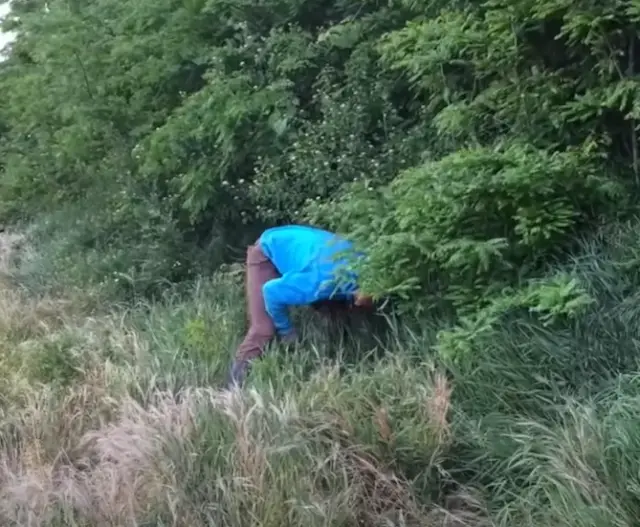 A Compassionate Passerby Finds a Pregnant Stray Dog Hidden in the ...